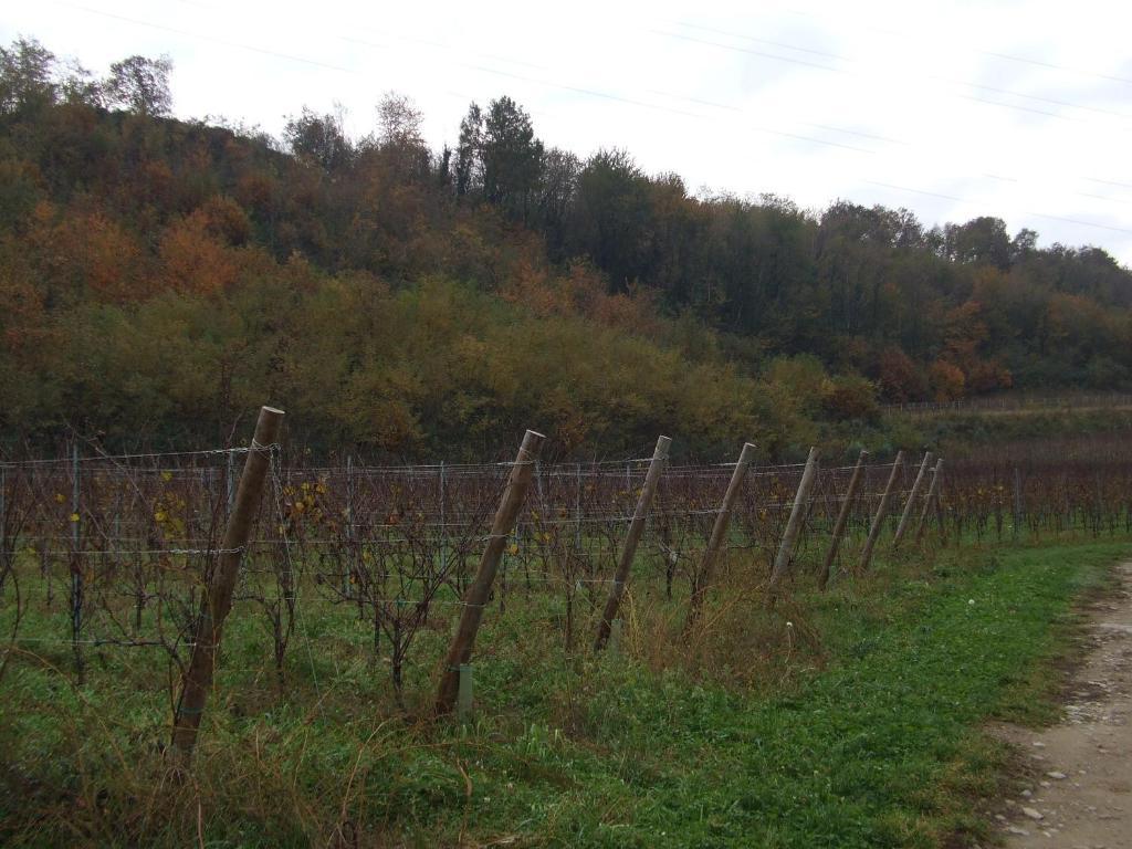 Agriturismo Cascina Rossano プロヴァーリオ・ディゼーオ エクステリア 写真