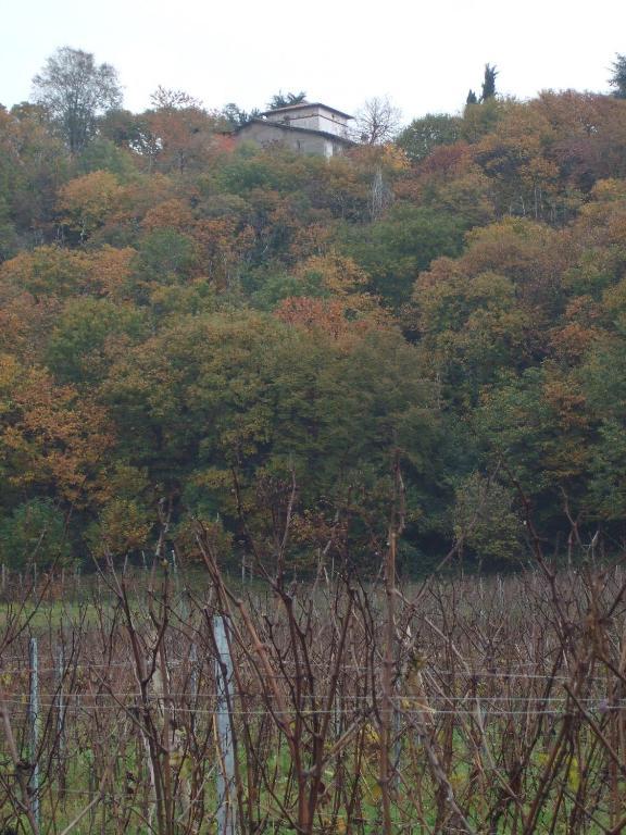 Agriturismo Cascina Rossano プロヴァーリオ・ディゼーオ エクステリア 写真