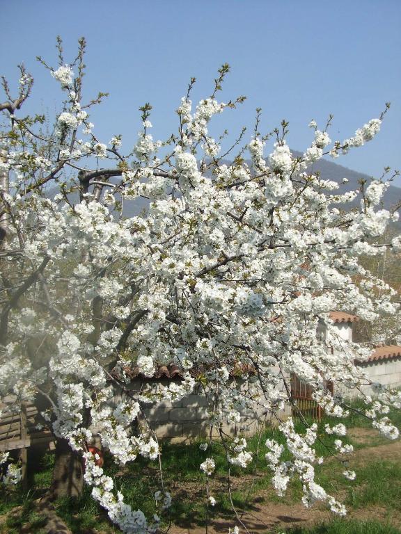 Agriturismo Cascina Rossano プロヴァーリオ・ディゼーオ エクステリア 写真