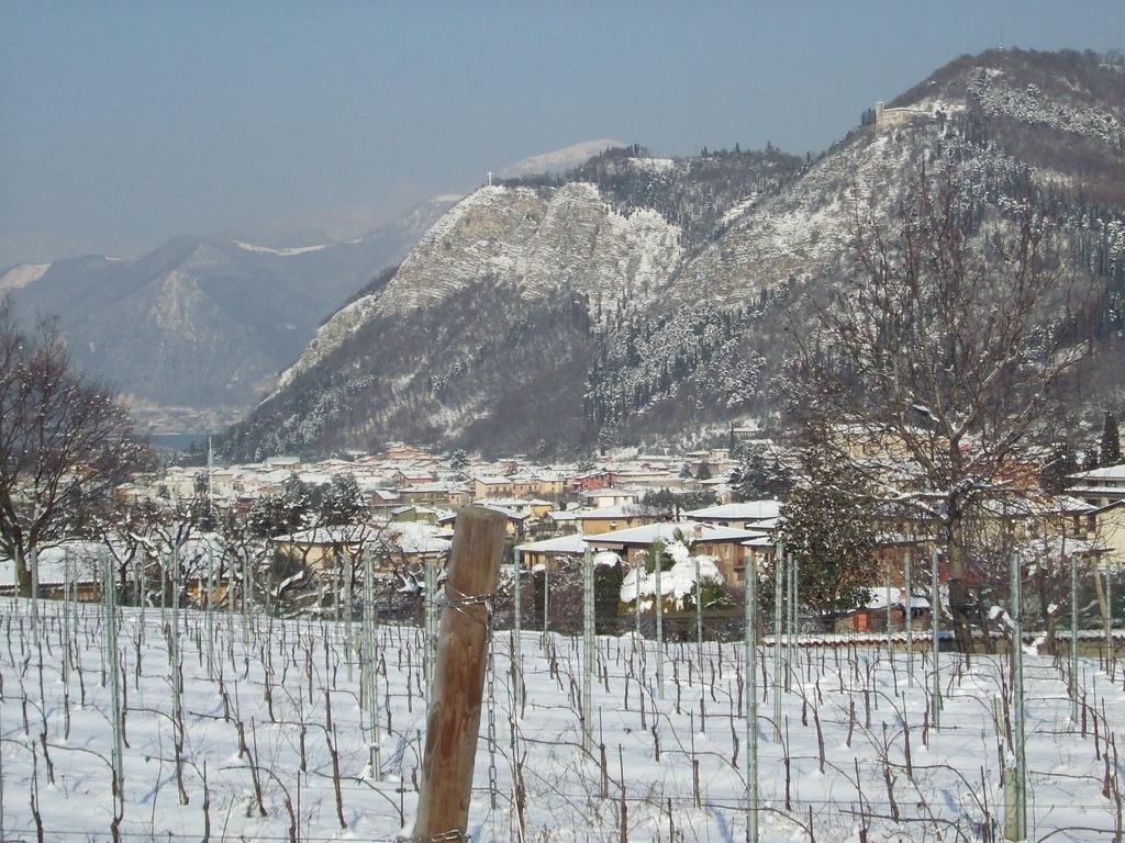 Agriturismo Cascina Rossano プロヴァーリオ・ディゼーオ エクステリア 写真